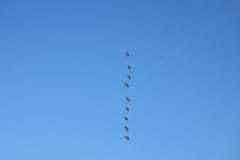 37553628_2088962307812263_2065431746668658688_n