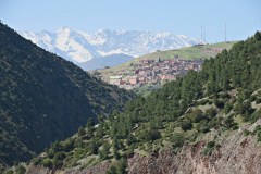 IMG_2217