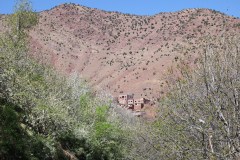 IMG_2223