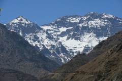IMG_2225