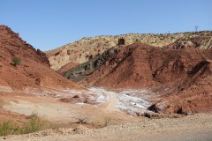IMG_2302