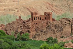 IMG_2354_resize
