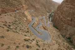 IMG_2399