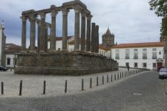 IMG_0623