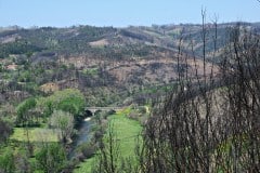 IMG_2711_resize