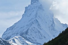 IMG_2971