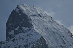 IMG_2980