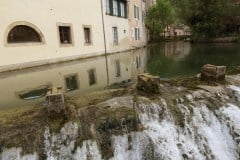 IMG_2868