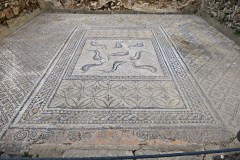 IMG_2494_resize