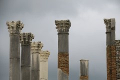 IMG_2499