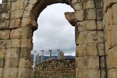 IMG_2508_resize