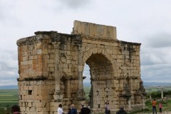IMG_2515