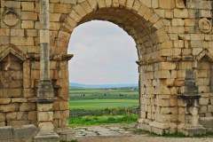 IMG_2518_resize