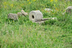 IMG_2528_resize