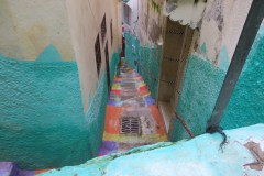IMG_2534