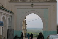 IMG_2537