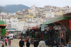 IMG_2539