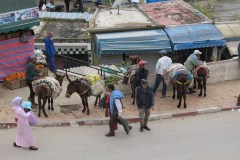 IMG_2542