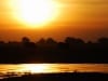 Sunset silhouettes