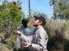 Jungle juggler
