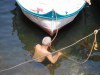 Believe it or not this guy is having a crap in the Nile - classically known as Nile Perch!