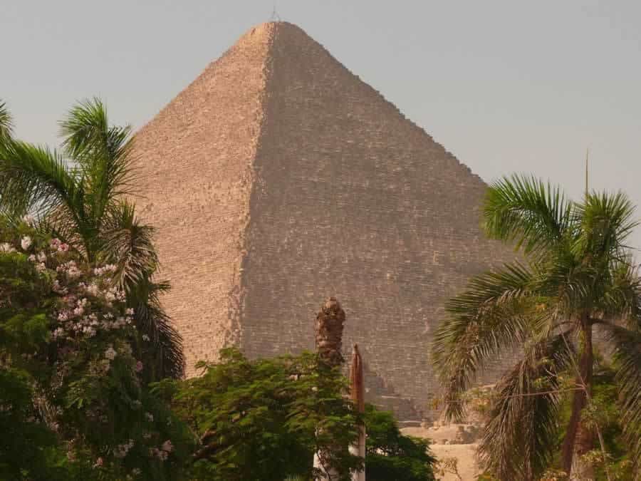 Pyramids throughh the Palms