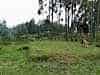 Golfing Rwanda-Style