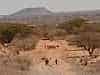 Locals or a mirage?