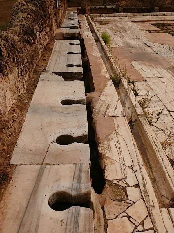 Bulk bogs, Hadriatic baths, Leptis Magna