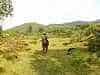 Military guard essential - guerrillas amongst the gorillas