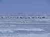 White desert dawn aura