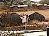 Malibu Stork