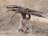 child labour - very common. Only 7% of tanzanian kids get to secondary school