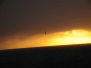 Birds at Sea