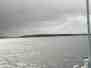 Enderby Island