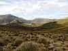 View down from the Royal Albatross Nests