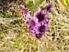 Rotation-of-DSC_0745