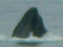 South from Alaska