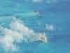 First view of a Bahamian Islet