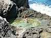 Jo takes in a rock pool on the ledge between the Atlantic and the Carribean