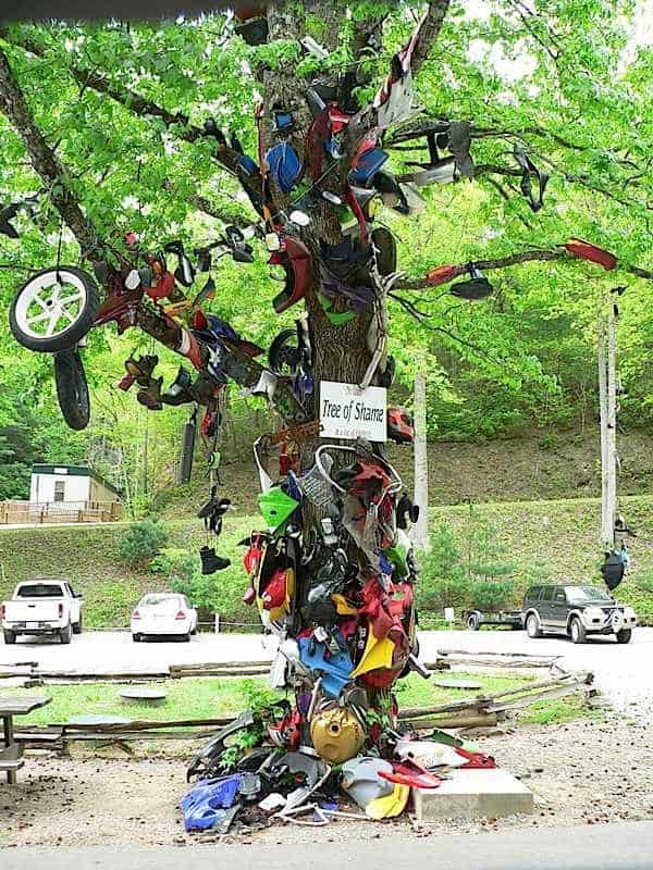 tree of Shame - bike bits from those who can out riding the Dragon