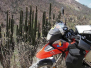 Copper Canyon Capers