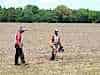 Farmers inspecting the Cotton plantings