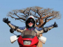 Baobab Tress of Madagascar