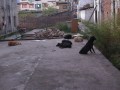 BhutanIMG_1556_resize