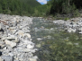Bogs, River Boulders and Borscht
