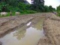Motorcycling_burmaIMGA0703_resize