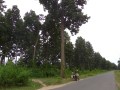 Motorcycling_burmaIMGA0712_resize