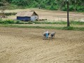 Motorcycling_burmaIMG_1870_resize