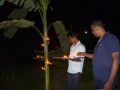 East_indiaIMGA0632_resize